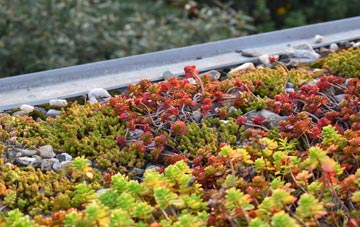 the cost of Rowton Moor green roof installation
