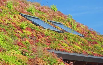 Rowton Moor living roof systems