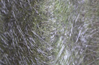 Rowton Moor fibreglass roof work